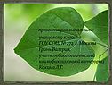 Презентацию выполнили