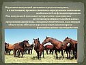 Популяция в биологии