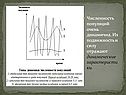 Численность популяций очень динамична