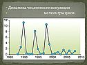 Динамика численности популяции мелких грызунов