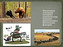 Численность популяций постоянно изменяется под влиянием абиотических и биотических факторов