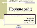 Породы овец