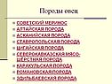 Породы