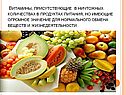 Правильное питание человека