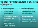 Обтекаемая форма тела