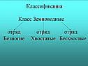 Отряд