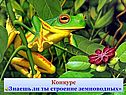 Представители класса Земноводные