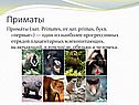 Один из наиболее прогрессивных отрядов