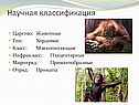 Научная классификация