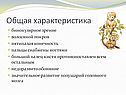 Общая характеристика