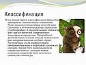 Классификация приматов претерпела значительные изменения