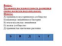 Травянисто-кустарниковое сообщество