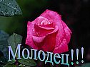 Природные сообщества