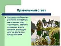 Биоценоз