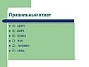 Орел