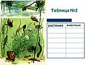 Растения