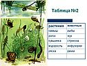 Животные