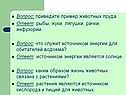 Пример животных пруда