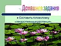 Домашнее задание