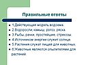 Правильные ответы