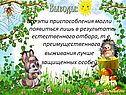 Приспособления