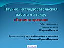 Гигиена зрения