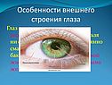 Особенности внешнего строения глаза