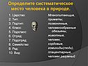 Определите систематическое место человека в природе