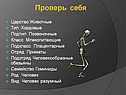 Проверь себя