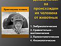 Доказательства происхождения человека от животных