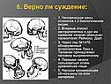 Человеческие расы относятся к 3 биологическим видам