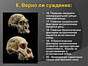 Первыми овладели членораздельной речью неандертальцы