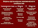 Формы организации человеческого сообщества