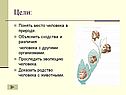 Понять место человека в природе