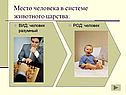 Место человека в системе животного царства