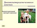 Доказательства родства человека и животных