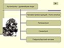 Происхождение современного человека