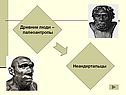 Палеоантропы