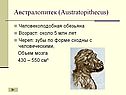 Австралопитек