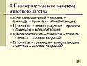 Положение человека в системе животного царства