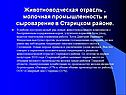 Животноводческая отрасль