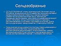 Сельдеобразные