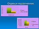 Огурец и подсолнечник