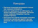 Помидоры