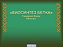 Биосинтез белка