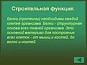 Строительная функция