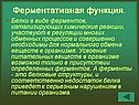 Ферментативная функция