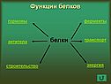 Функции белков