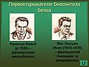 Первооткрыватели биосинтеза белка