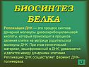 Репликация ДНК